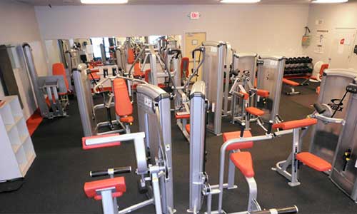 Montana City Fitness Equipment Machine Weights
